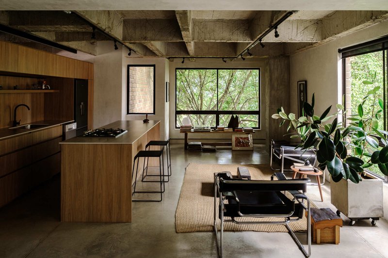 Open kitchen and living space with timber island, concrete floor and large window looking onto trees