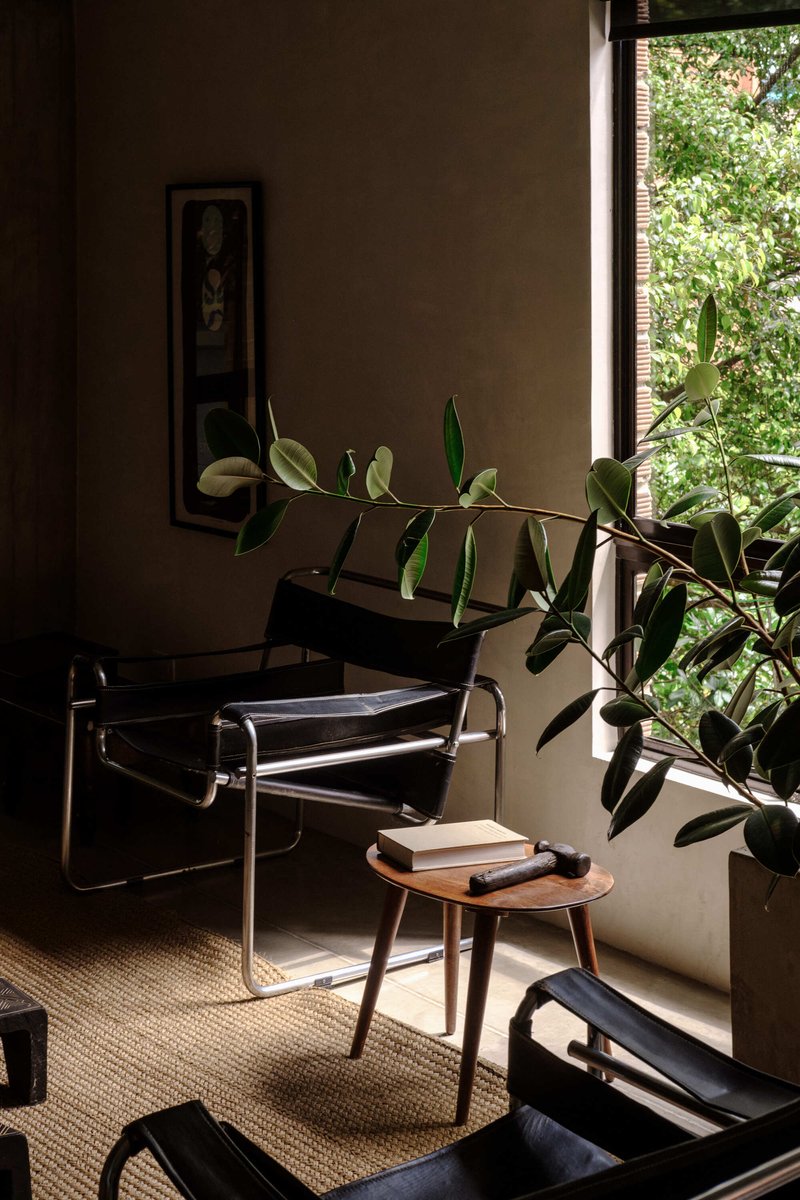 Seating area with tubular steel chair near a window overlooking leafy vegetation in afternoon light