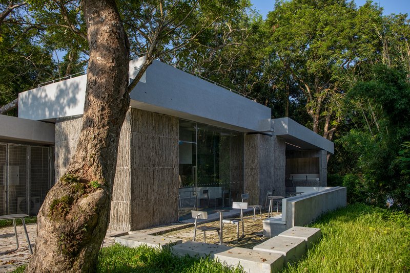 Outdoor terrace with concrete seating ledge beneath the overhanging slab and weathered tree trunk