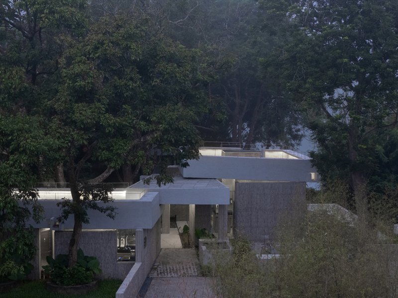 Elevated view of stepped concrete volumes nestled within dense tree canopy at twilight