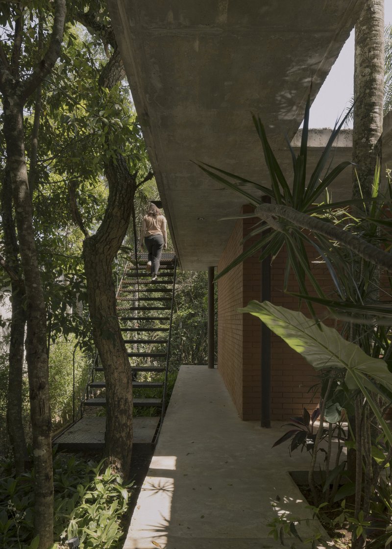 Steel staircase ascending through the canopy with a figure climbing past concrete slabs and tropical foliage