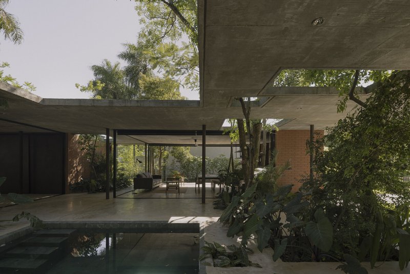 Poolside terrace beneath concrete overhangs with trees growing through openings in the slab structure