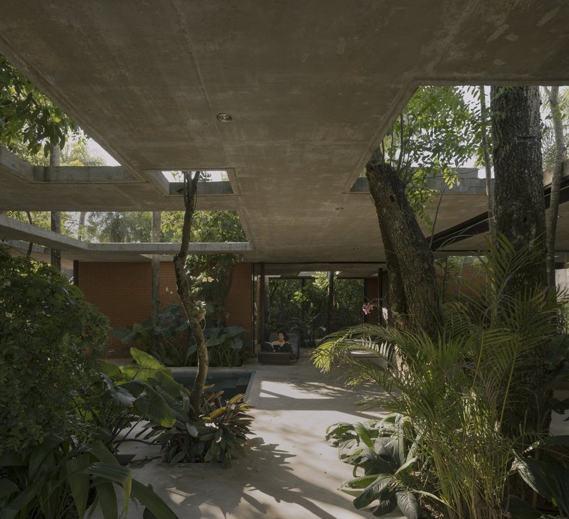 Covered courtyard with exposed concrete ceiling and skylights integrating tree trunks and tropical plantings