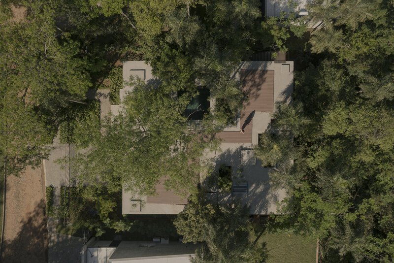 Aerial view of concrete roof planes dispersed among tree canopy in dense forest