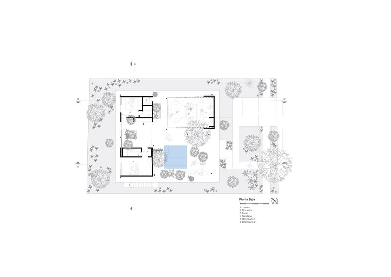 Site plan drawing showing two rectangular volumes with a central pool amid scattered trees and groundcover