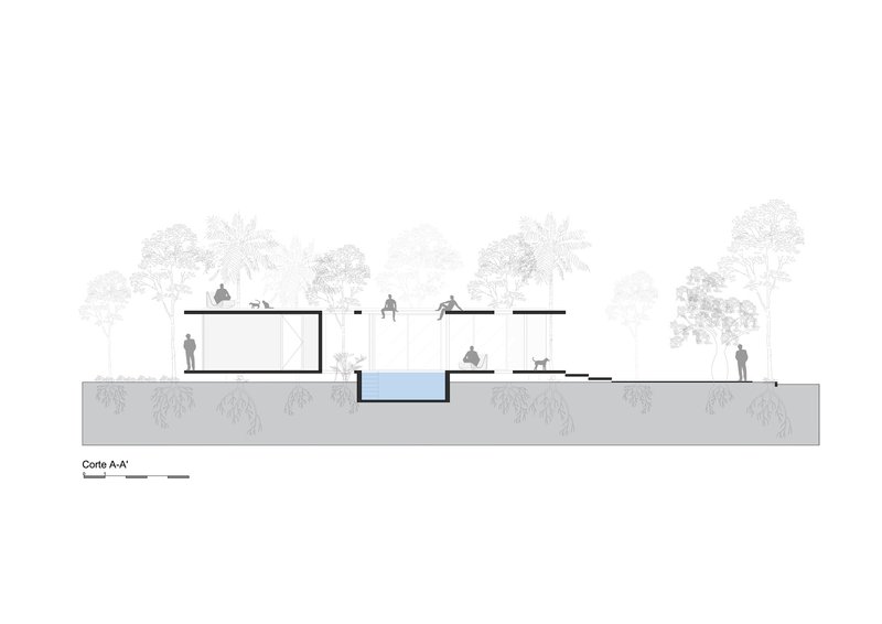 Section drawing illustrating sunken courtyard with pool and flat-roofed pavilions among palm and deciduous trees