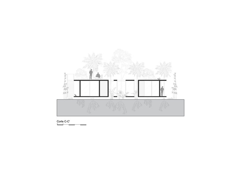 Section drawing depicting two separate volumes with flat roofs connected by an open courtyard beneath palms