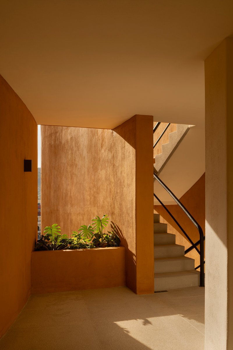 Interior courtyard with ochre planter box filled with green plants beside a staircase in sunlight