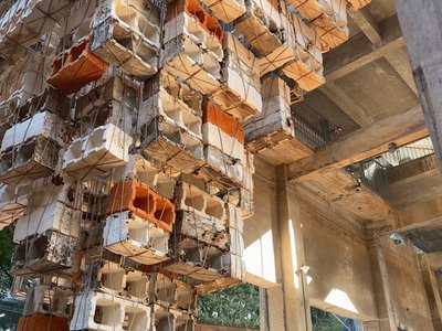 Inverted Architecture Installation by Studio Link-Arc: Exploring the Intersection of Architecture and Living Organisms