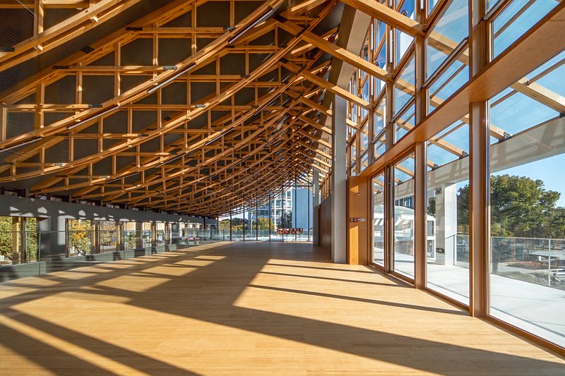 Interior hall with curved timber lattice ceiling and floor-to-ceiling glazing casting diagonal shadows on pale flooring