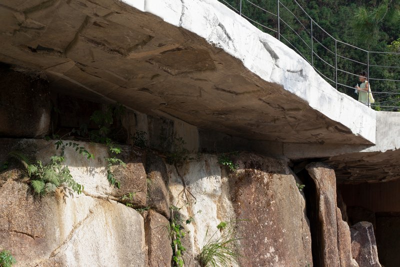 Close-up of stratified rock face beneath concrete overhang with ferns and vines growing