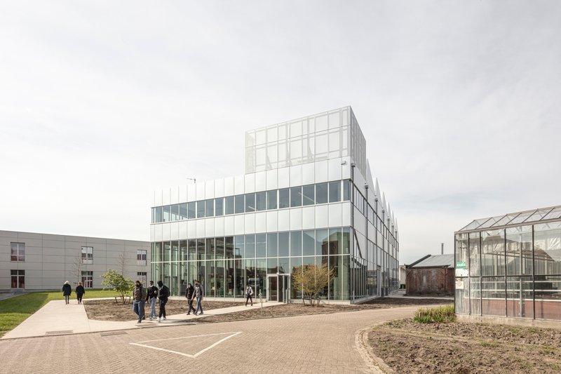STEM School Mechelen by LAVA Architecten: A Future-Ready Educational Architecture in Belgium