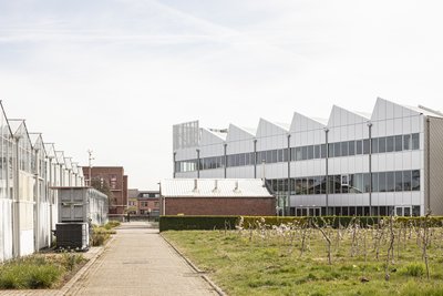 This architectural image showcases a modern industrial building with a distinctive sawtooth roof and