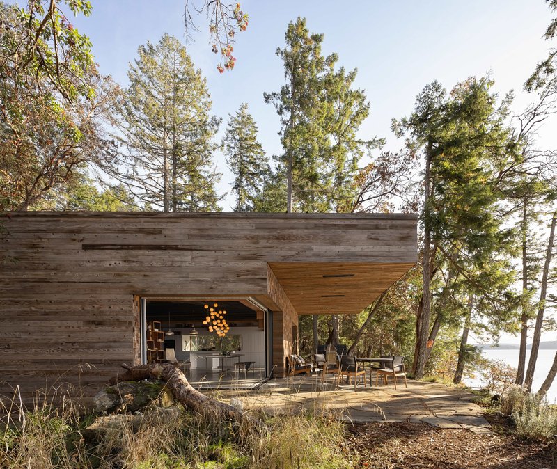 Horizontal timber-clad facade with covered terrace and large opening framed by tall conifers in afternoon light
