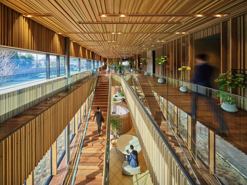 Multi-level interior atrium with timber slat ceiling, wood flooring, and glass railings with potted plants
