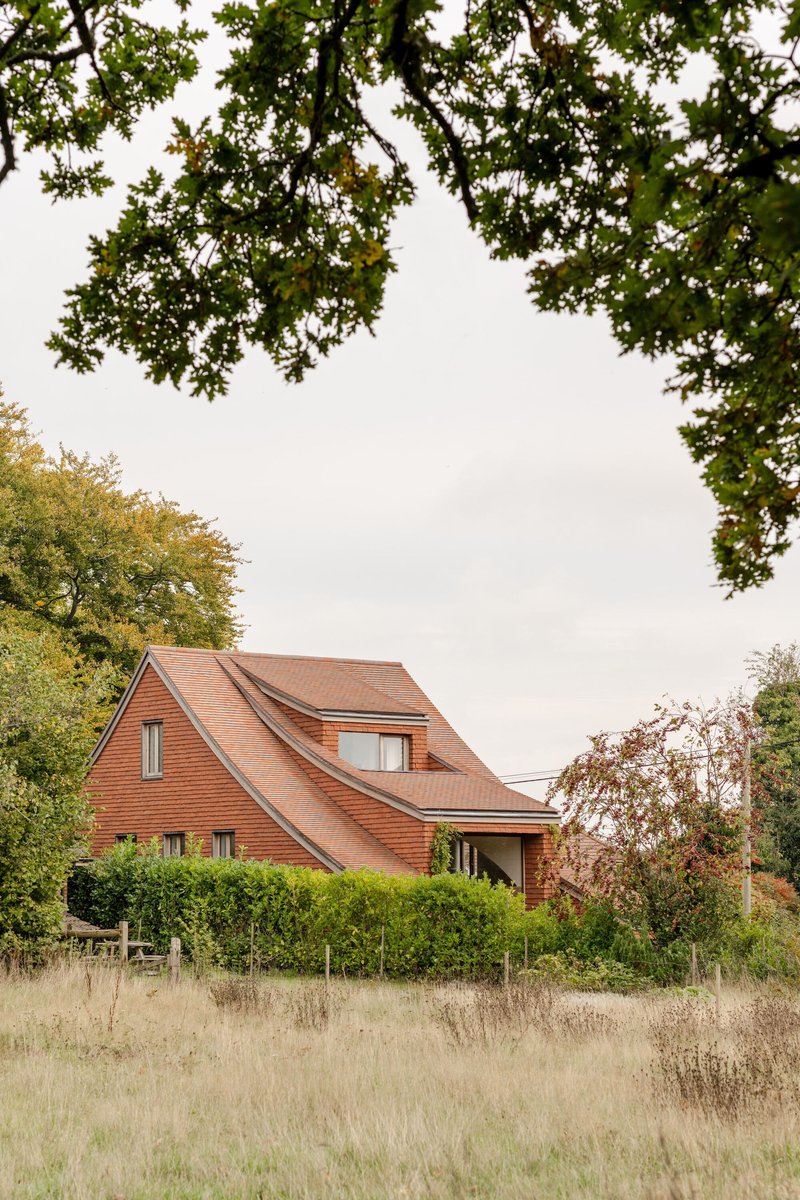 Side view of the undulating tile roof framed by overhanging branches and dry meadow grasses