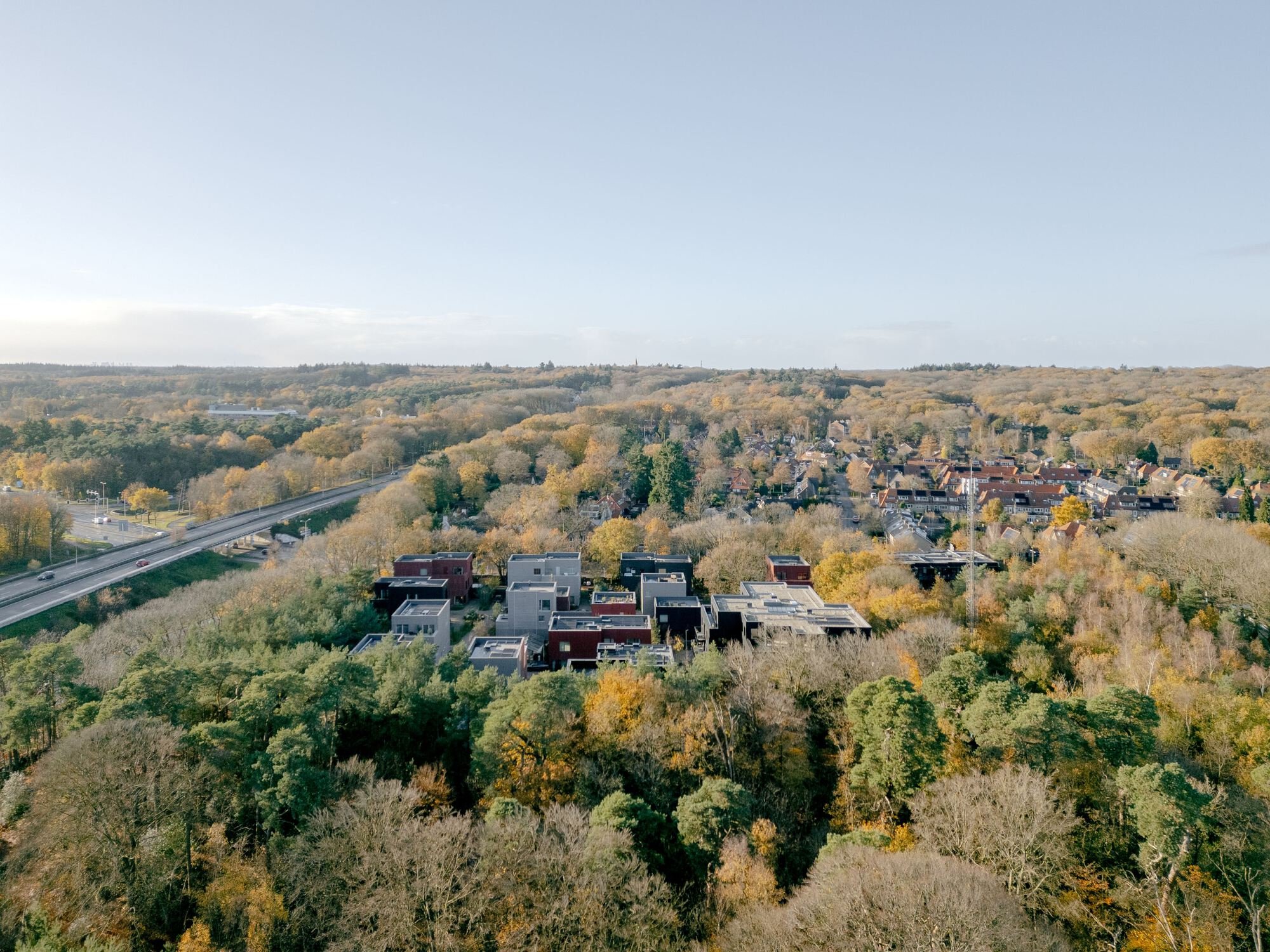 Common Woods: Housing That Lives Inside a Forest