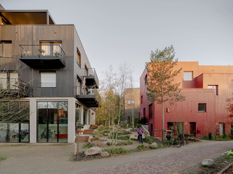 Shared courtyard with young trees and brick paving between multifamily housing volumes clad in timber and metal