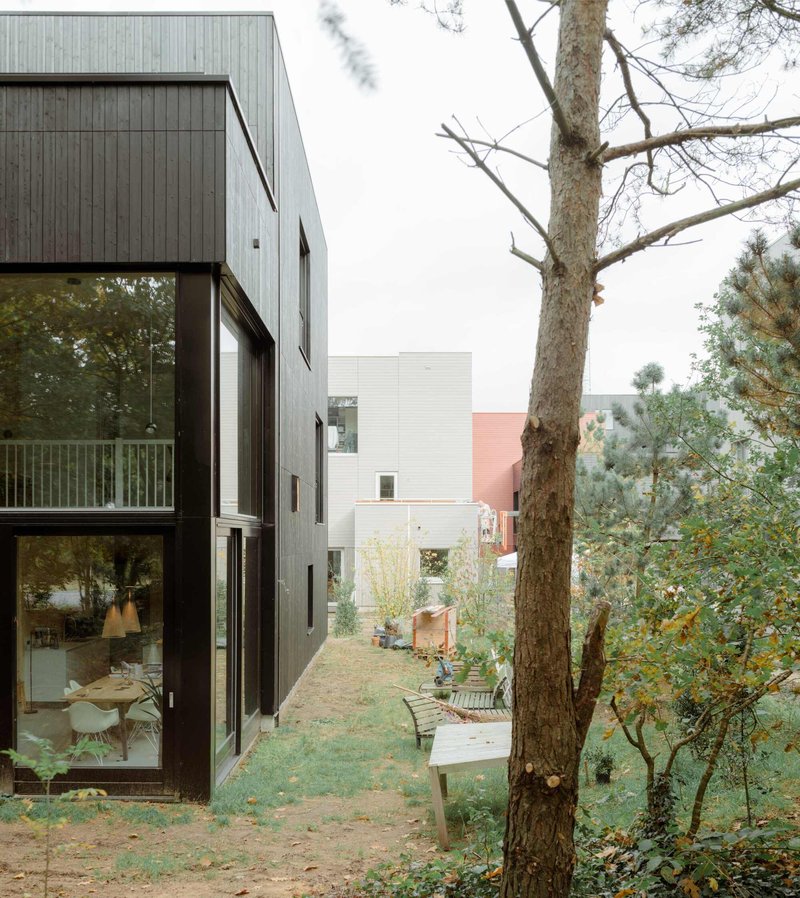 View through wooded yard showing the glazed corner and timber facades of neighboring housing units