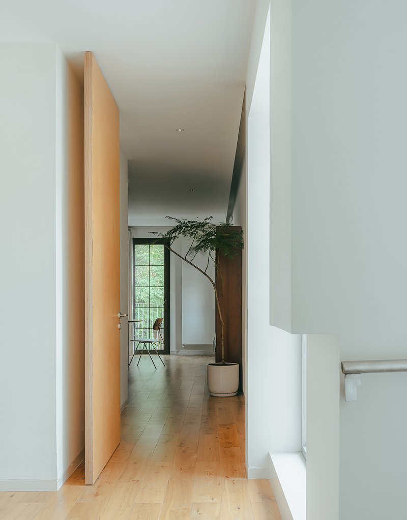 Hallway with tall wood door and potted plant leading to a glazed door at the end