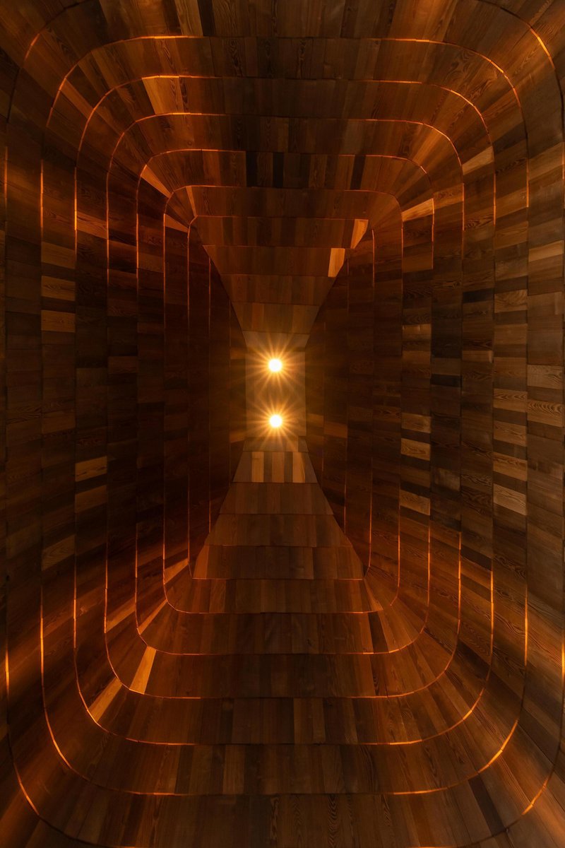 Upward view inside the timber roof structure showing layered plywood ribs converging toward pendant lights