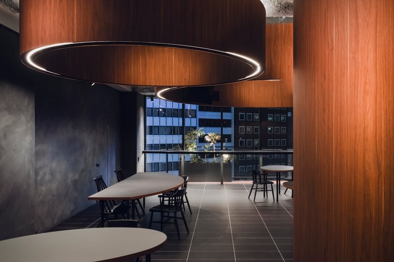 Curved timber partition walls framing window view toward adjacent office buildings with rooftop greenery visible