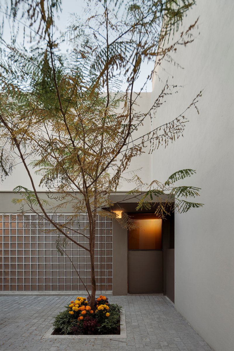 Glass block wall beside a recessed doorway with feathery tree branches overhead at dusk