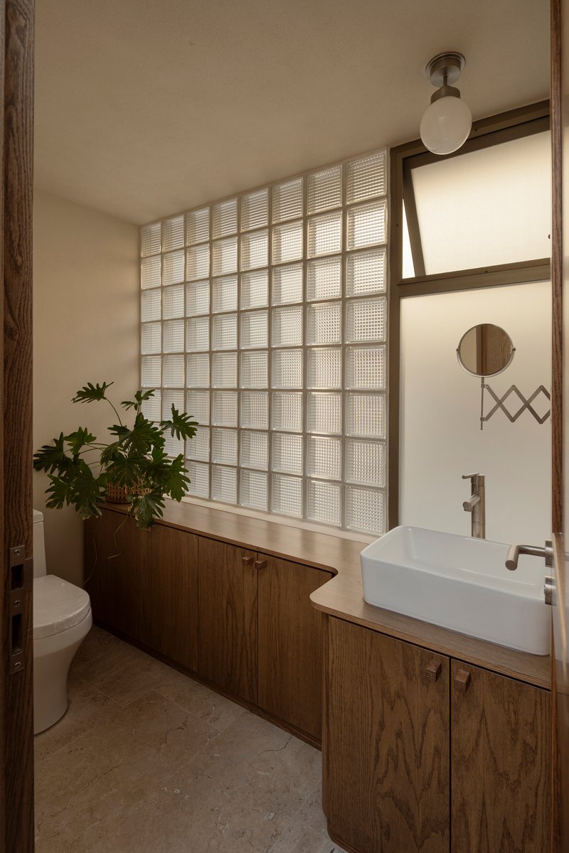 Bathroom vanity with wood cabinetry beneath a translucent glass block wall and potted plant