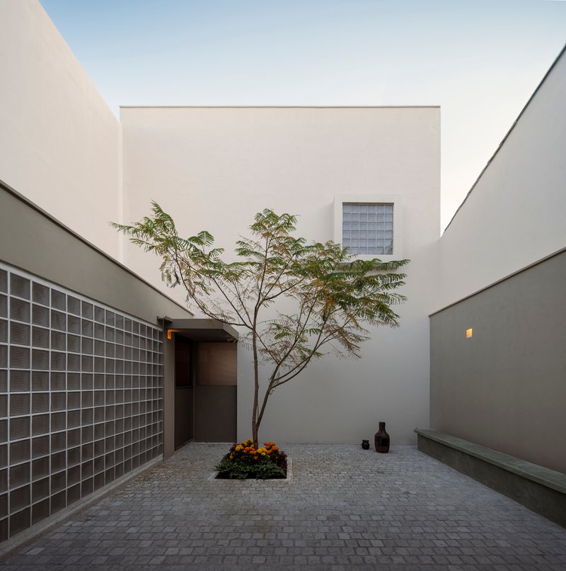 Courtyard paved with grey stone pavers, framed by glass block wall and slender tree at dusk