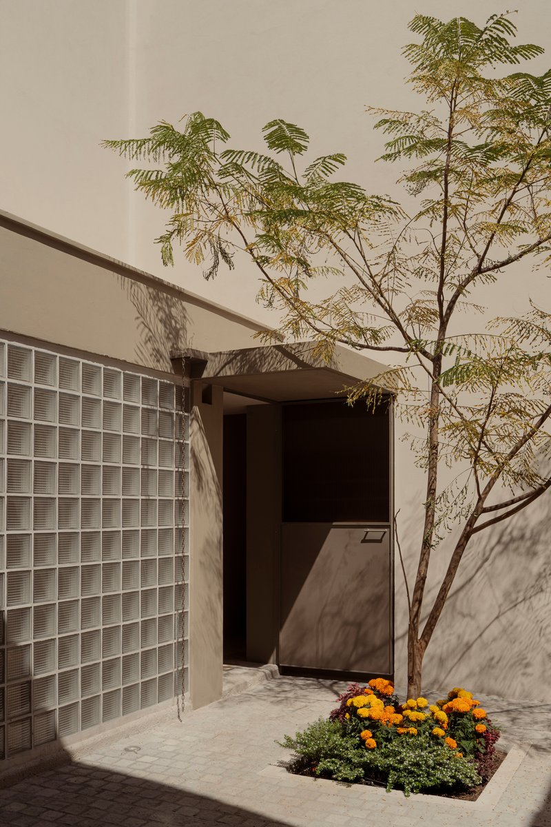 Courtyard entry with glass block wall, slender tree and bed of yellow marigolds