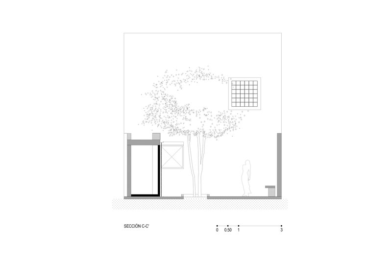 Section drawing through an interior courtyard with a tree and a figure beneath a skylight