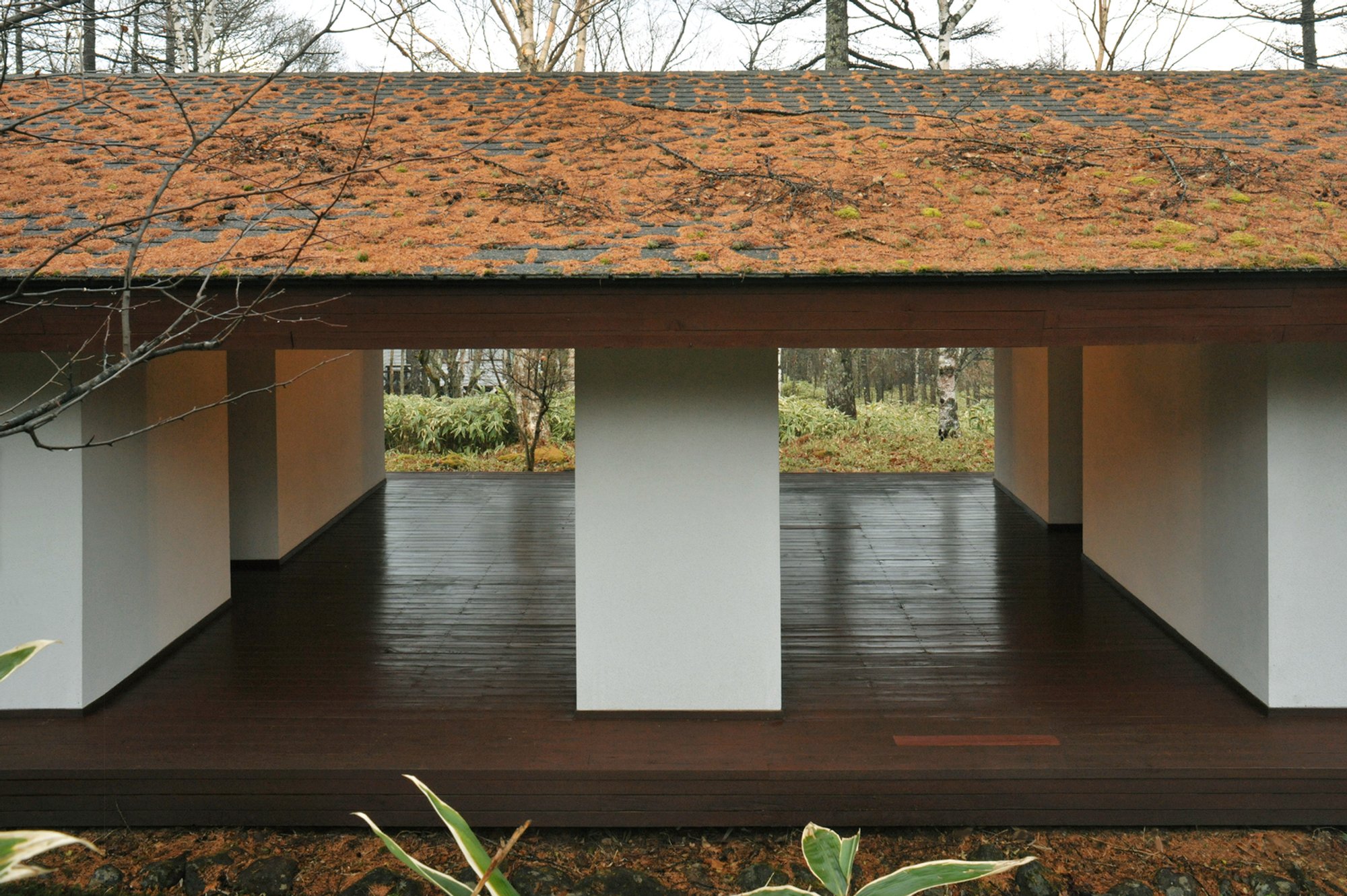 Yamakawa Villa by Riken Yamamoto: A Summer Retreat in Harmony with Nature