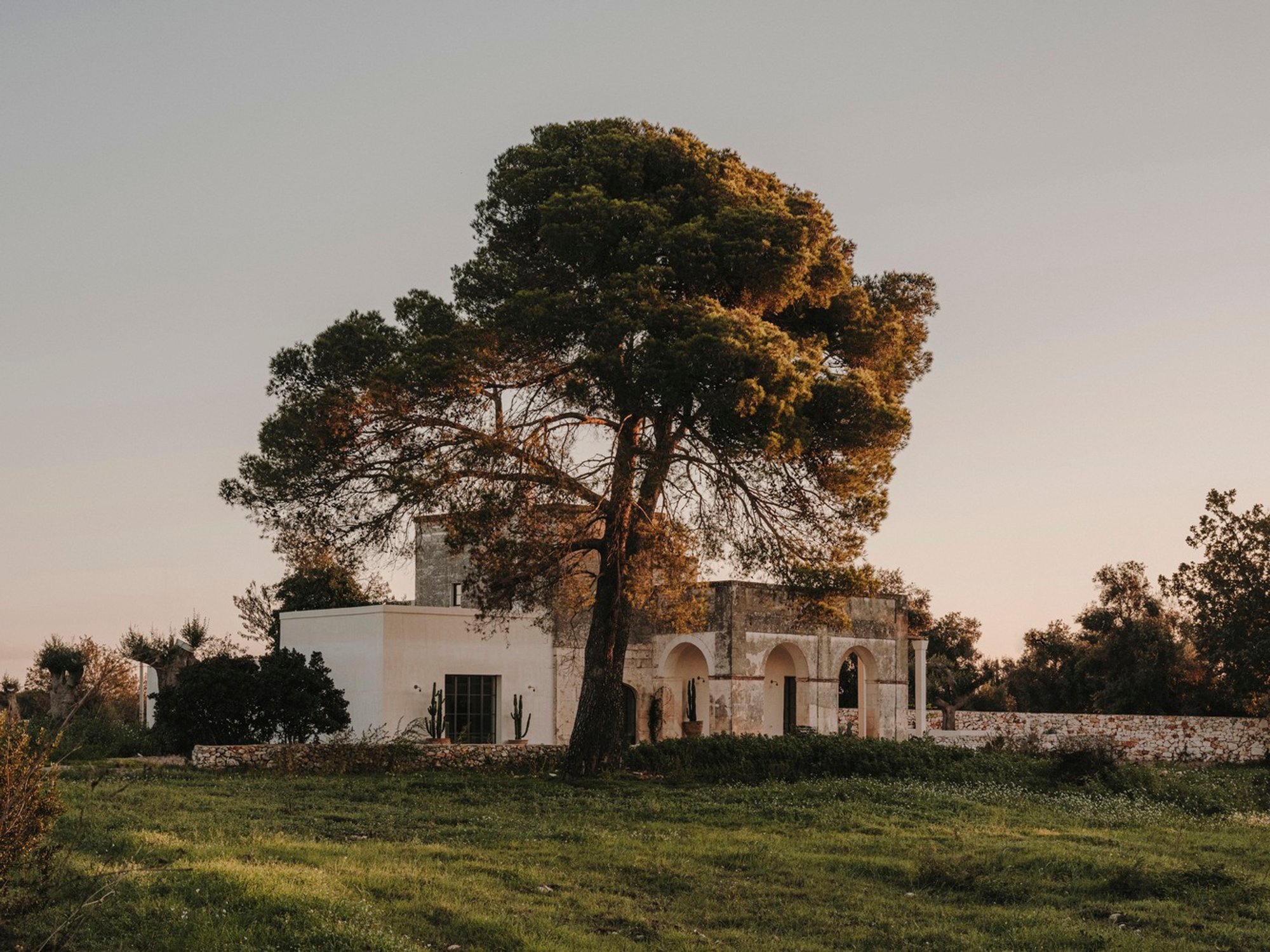Casolare Scarani House by Studio Andrew Trotter – A Timeless Puglia Renovation