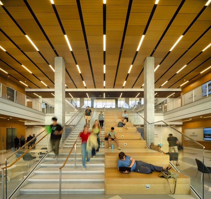 Central timber stair and amphitheater seating under slatted wood ceiling with integrated linear lighting