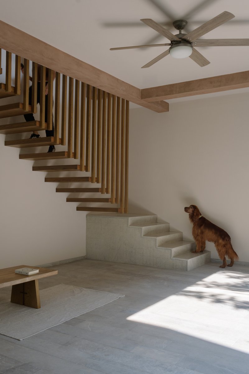 Floating timber staircase with vertical slat railing and a dog standing on the lower concrete steps
