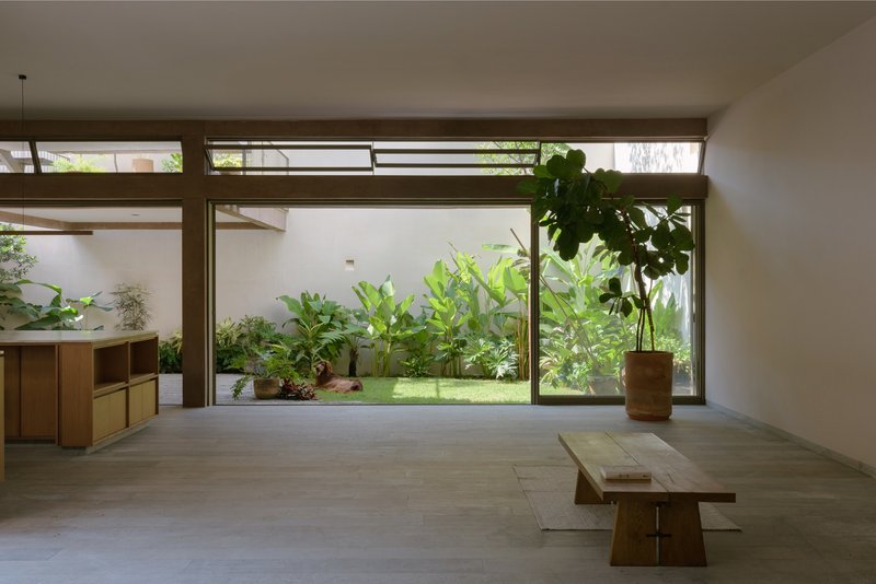 Living space with floor-to-ceiling glazing overlooking a garden courtyard with banana plants and lawn