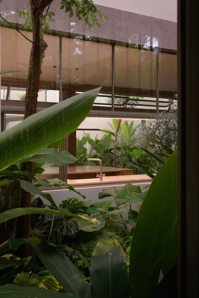 Interior courtyard with banana plants and tropical vegetation viewed through steel-framed glazing