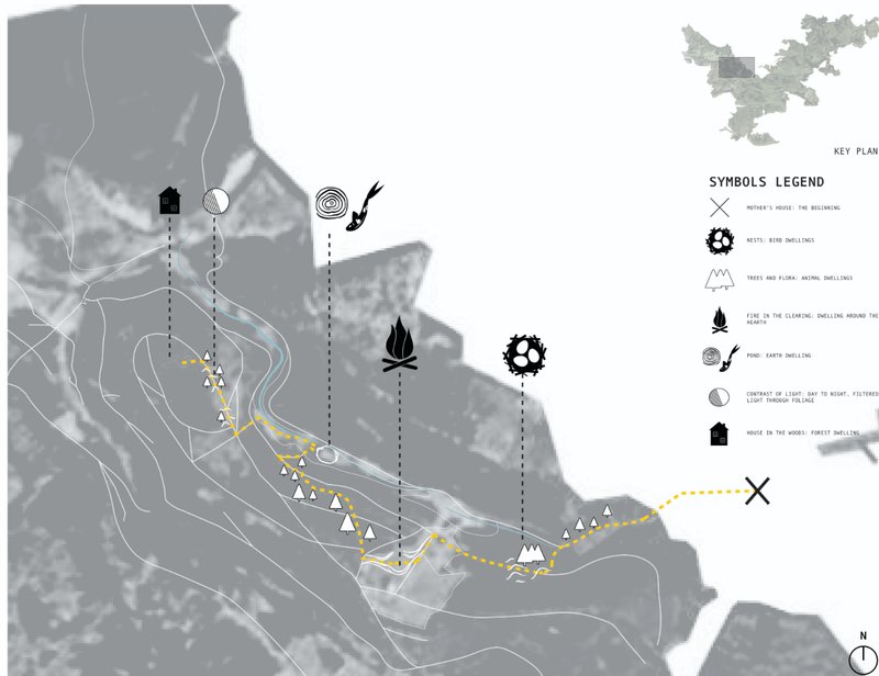 Experiential site map tracing a rhythmic journey of forest dwellings, clearings, and moments of intimacy along the path.