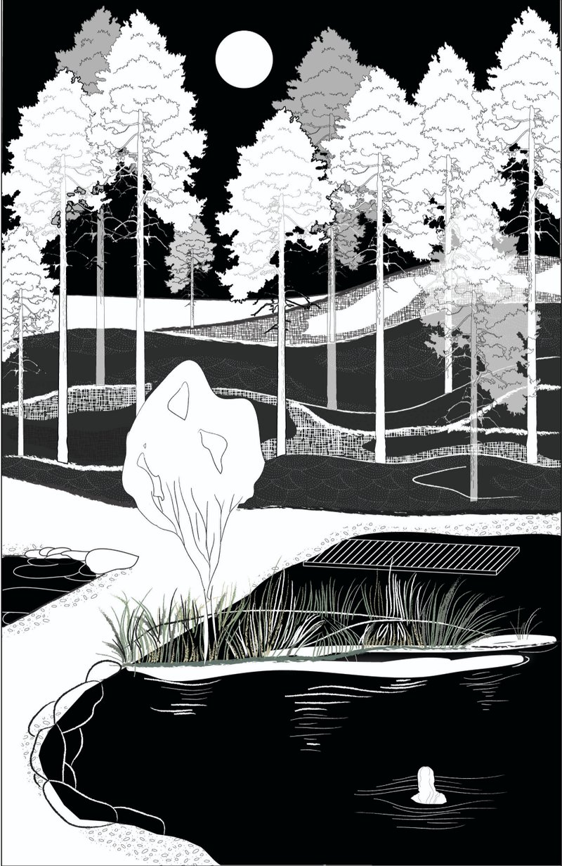 Valley pond as a moment of stillness, where landscape, reflection, and solitude converge into spatial introspection.