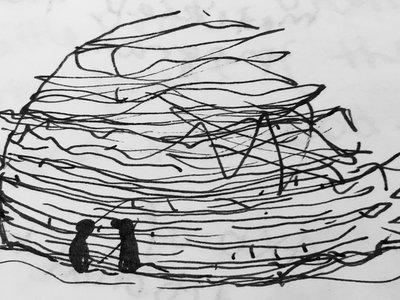 The Intimacy of the Forest: A Biophilic Architecture Journey Through Narrative and Space