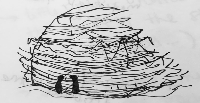 The Intimacy of the Forest: A Biophilic Architecture Journey Through Narrative and Space