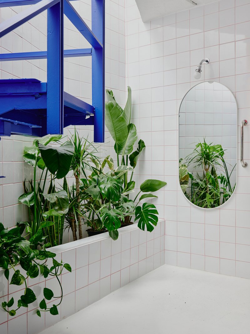 White tile wall with oval mirror and integrated planter filled with tropical foliage beside a blue staircase