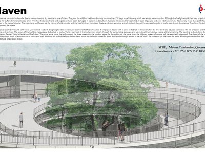 Haven Koala Habitat by Hanzhong Luo