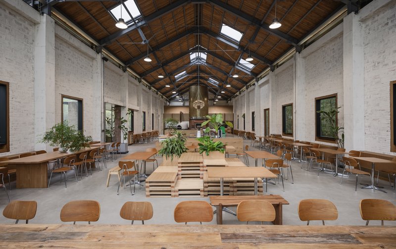 Long view of the timber-clad ceiling with steel beams and wooden furniture beneath planted pots