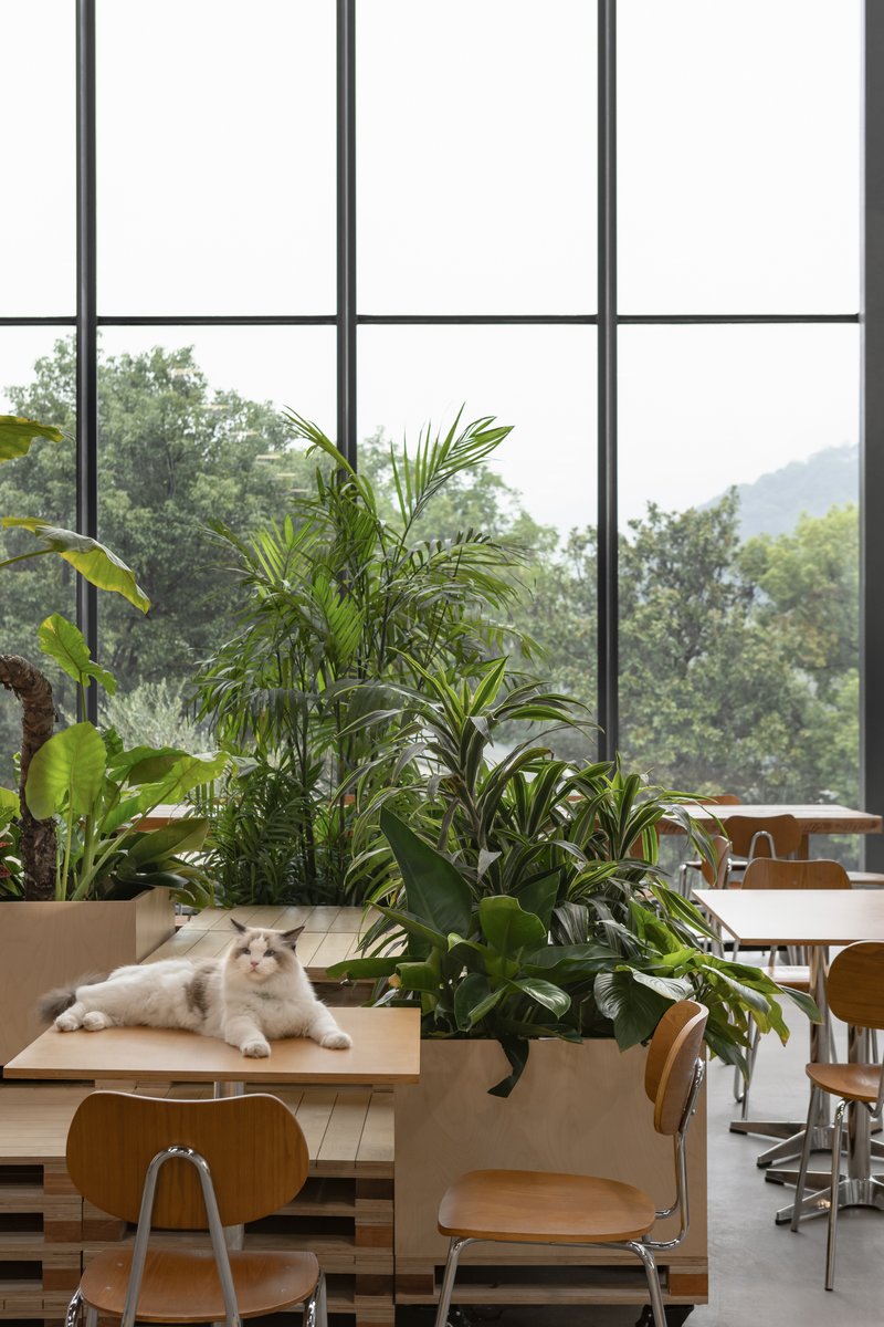 Planter box with tropical plants and cat resting on bench beside gridded window overlooking misty hills