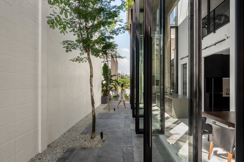 Narrow exterior courtyard with gravel bed, planted tree and white brick wall seen from interior