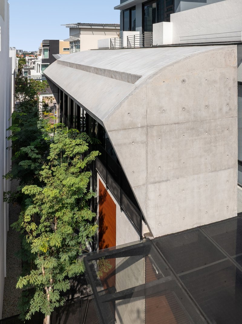 Angled concrete wall with formwork holes rising above a courtyard planted with a leafy tree