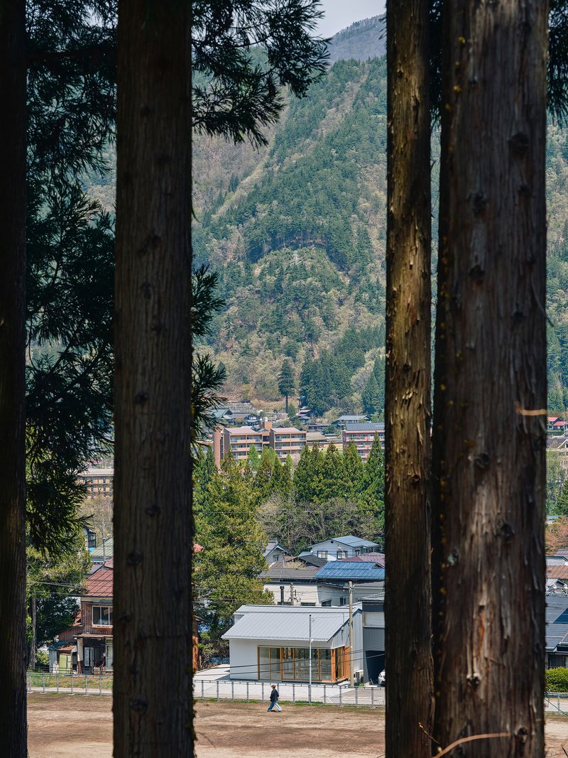 Single-story residence with corrugated metal cladding framed by tall tree trunks and distant mountain slopes