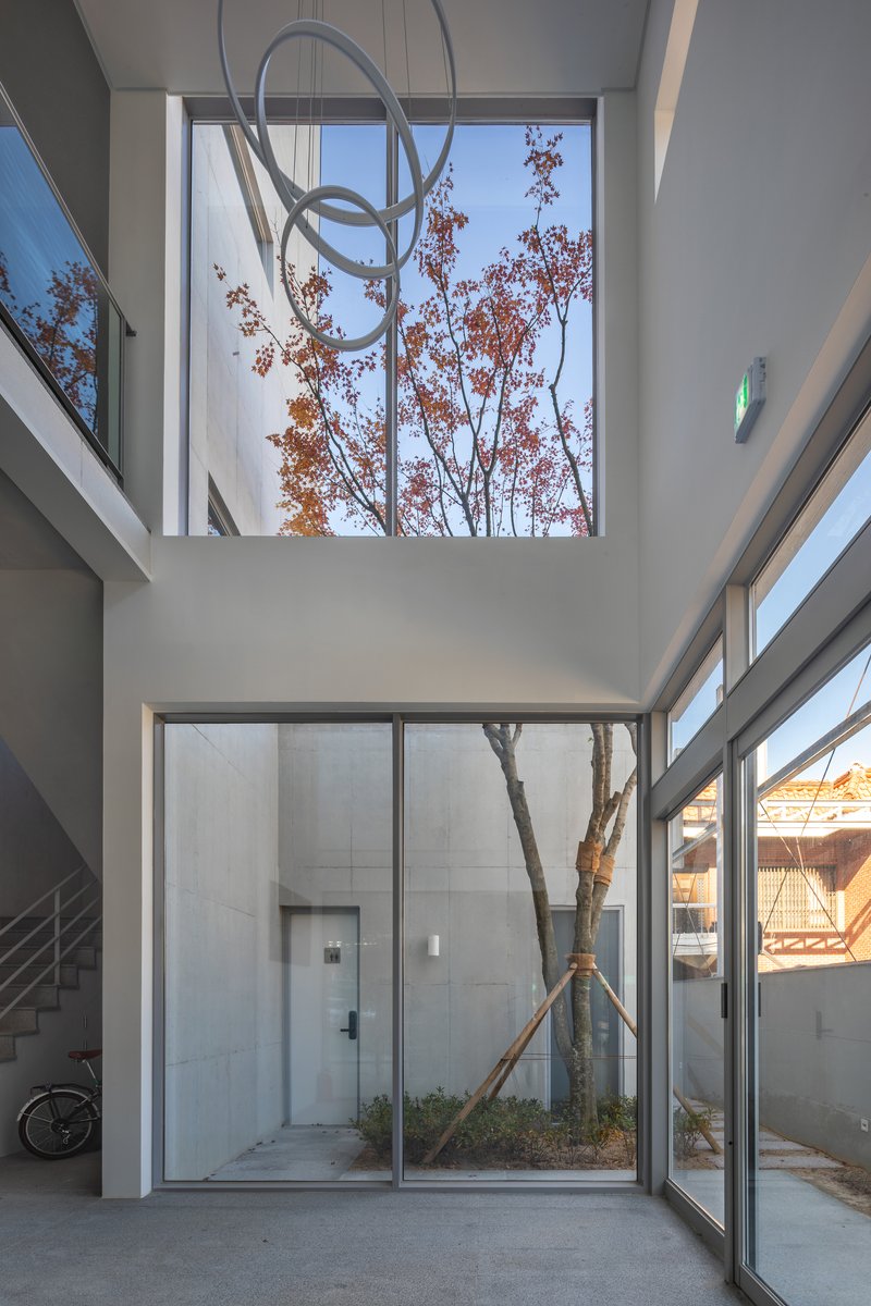 Double-height interior courtyard with floor-to-ceiling glazing framing a planted tree with autumn foliage