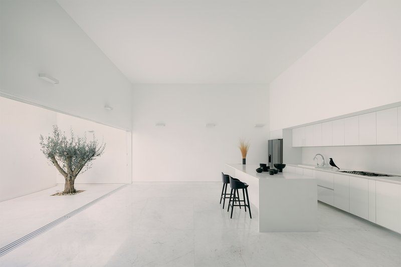 Kitchen with island and white cabinetry opening to a courtyard with an olive tree